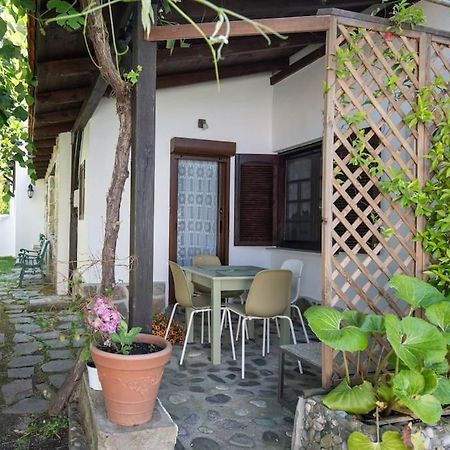 Paralia Sikias Traditionelles Appartement Athos Shadow Am Meer מראה חיצוני תמונה
