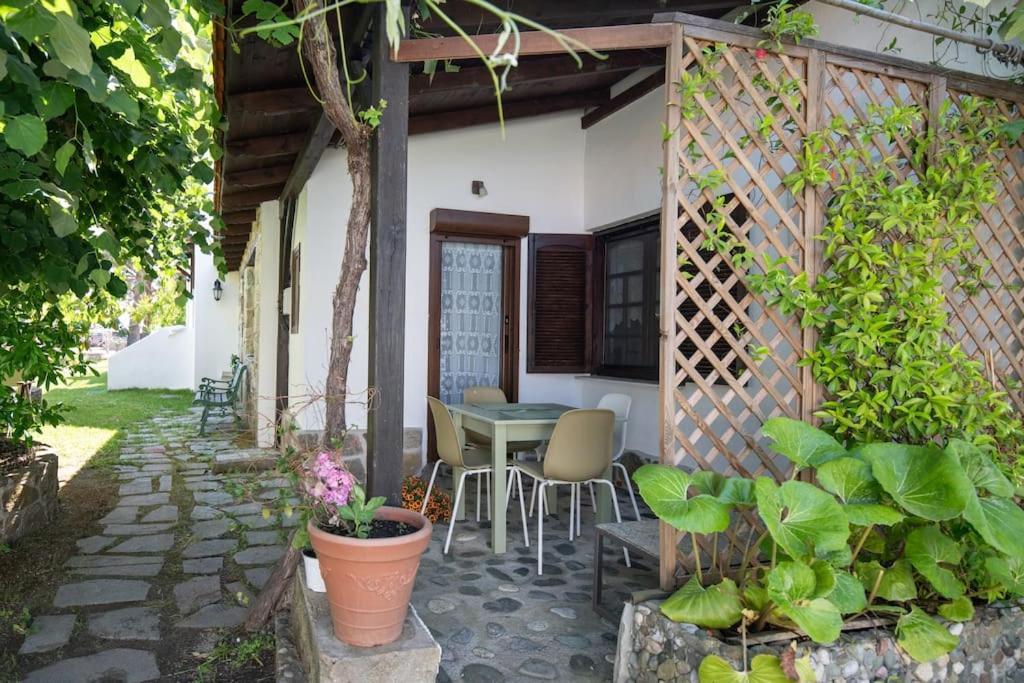 Paralia Sikias Traditionelles Appartement Athos Shadow Am Meer מראה חיצוני תמונה