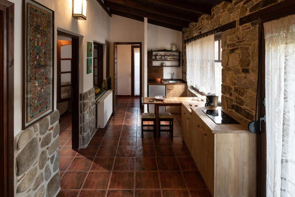 Paralia Sikias Traditionelles Appartement Athos Shadow Am Meer מראה חיצוני תמונה