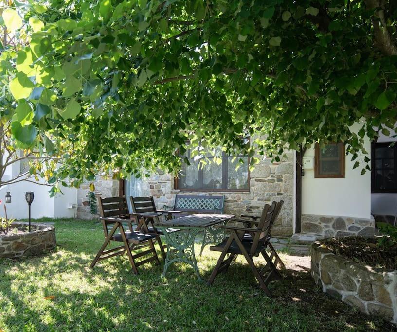 Paralia Sikias Traditionelles Appartement Athos Shadow Am Meer מראה חיצוני תמונה