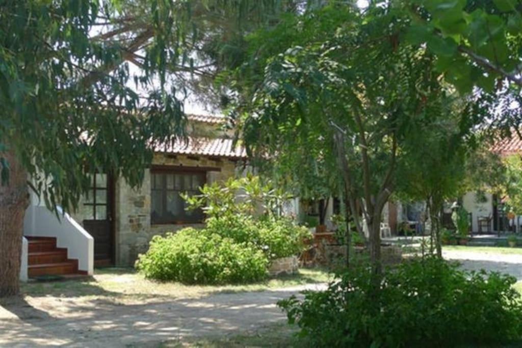 Paralia Sikias Traditionelles Appartement Athos Shadow Am Meer מראה חיצוני תמונה