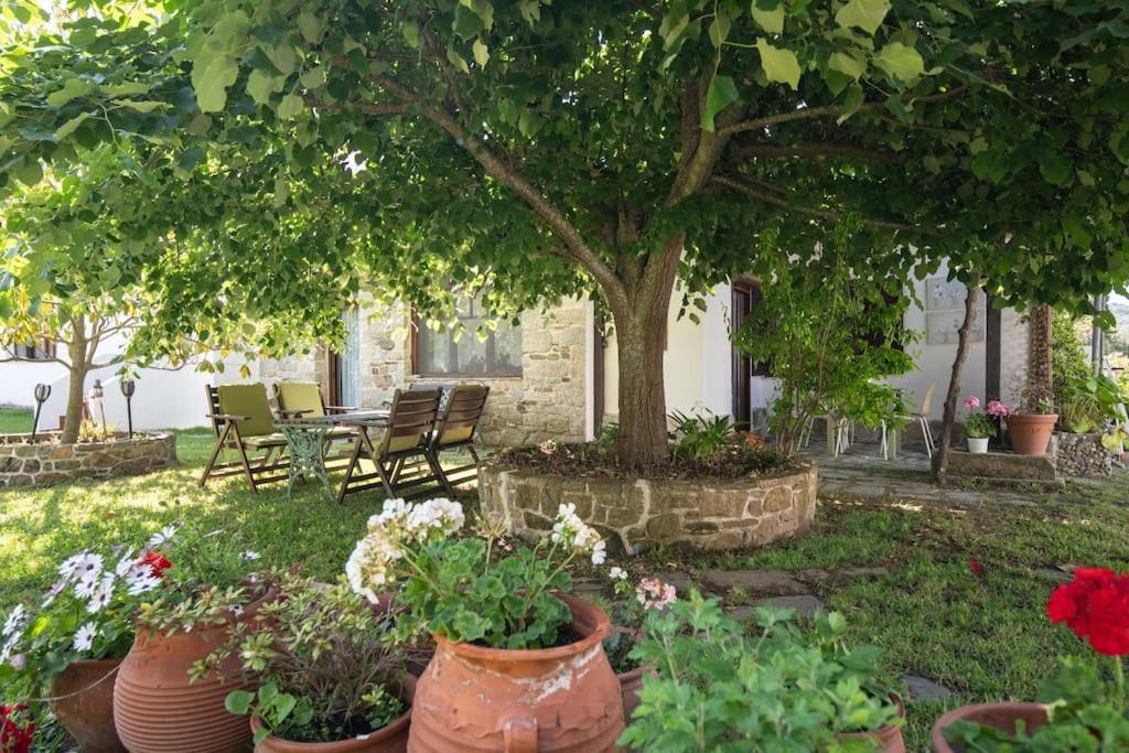 Paralia Sikias Traditionelles Appartement Athos Shadow Am Meer מראה חיצוני תמונה