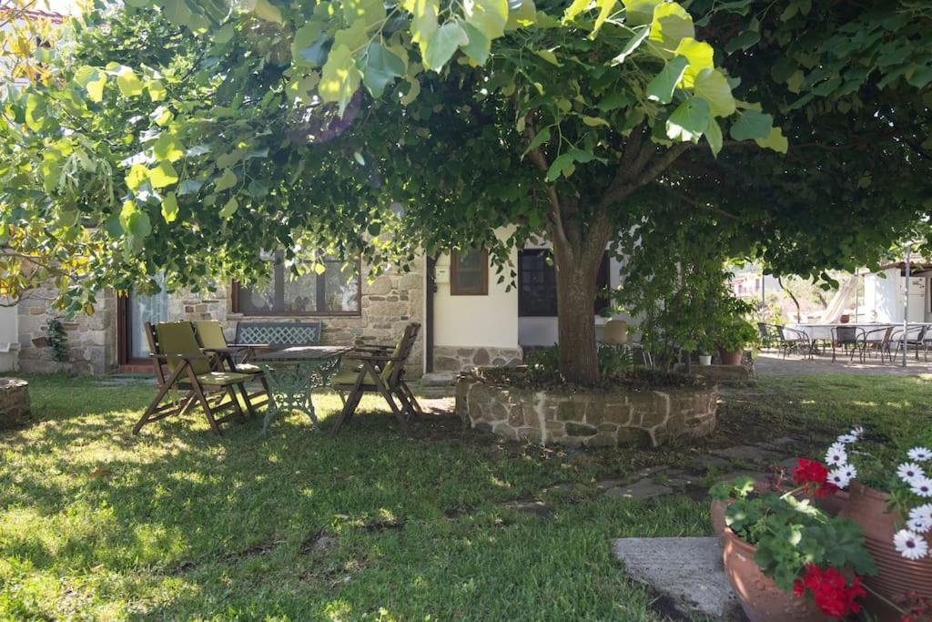 Paralia Sikias Traditionelles Appartement Athos Shadow Am Meer מראה חיצוני תמונה