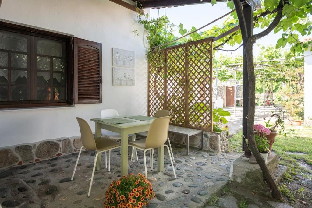 Paralia Sikias Traditionelles Appartement Athos Shadow Am Meer מראה חיצוני תמונה